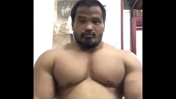 Hot Massive thai bull [tags: muscle, bodybuilder, Asian, beefy, massive, thick, pecs, pec flexing, pec bouncing, chest, posing, flexing, hunk, muscular, off season my Tube