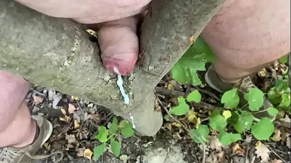 Hot Cum with the tree my Tube